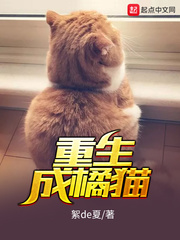 重生成橘猫